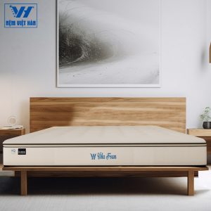 Nệm Foam VIHAFOAM Việt Hàn