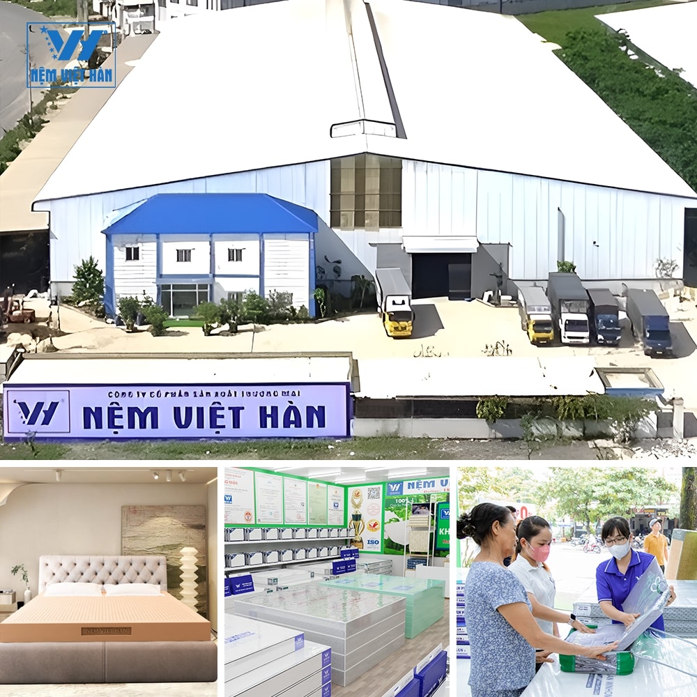 Read more about the article Nệm Việt Hàn – Top 100 Thương Hiệu Uy Tín – Sản Phẩm Chất Lượng – Dịch Vụ Tin Dùng