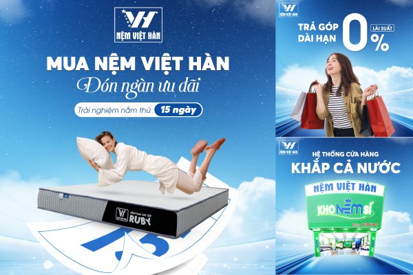 Read more about the article Bảng Giá Nệm Cao Su Thiên Nhiên Việt Hàn